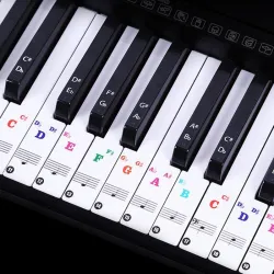 88 Tasten - Bunte Klaviernoten - transparente Tastaturaufkleber