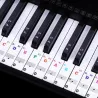 88 Tasten - Bunte Klaviernoten - transparente Tastaturaufkleber