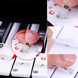 88 Tasten - Bunte Klaviernoten - transparente Tastaturaufkleber