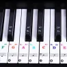 88 keys - Colourful piano notes - transparent keyboard stickersPiano