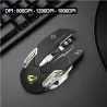 Kabellose optische Gaming-Maus - wiederaufladbar - leise - LED hinterleuchtet - ergonomisch