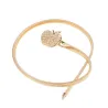 Sweet Apple Elastic Belt - WomenBelts