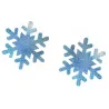 10 Paare - Nipple Covers - Snowflakes