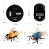 Infrared RC insect - simulated spider / bee / fly / crab / ladybug - electric robot - toyRC Toys