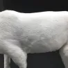 Weihnachtsdekoration - weiße Rentiere - deer