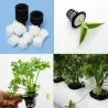 Mesh Pot - Korb - für hydroponic system plant / Gemüse wachsen - mit Schaumeinsatz - 10 Stück