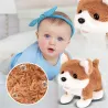 Echter Teddy Dog - Elektrisches Plüschspielzeug - Kinder
