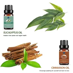 Ätherische Öle für Diffusor / Befeuchter / Massage / Aromatherapie - 10ml - 16 Stück