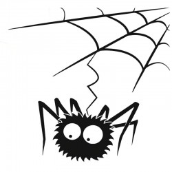 Spider Web mit Spinne - Vinyl Auto Aufkleber
