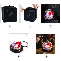 Preserved eternal rose - glass box with light - Valentine's day / wedding giftValentine's day