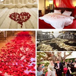 Satin Herzen Blütenblätter - Konfetti - Hochzeiten / Tische / Betten / Valentine's Dekoration - 100 Stück - 35mm