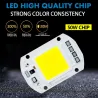 10W - 30W - 50W - 220V - LED-Scheinwerfer - wasserdichter Reflektor - Bewegungssensor