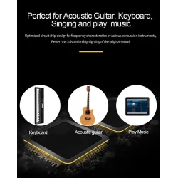 Music amplifier - outdoor speaker - for guitars / electric guitarsGuitars
