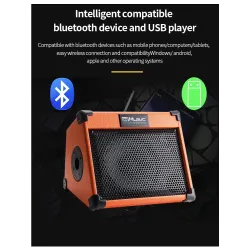 Music amplifier - outdoor speaker - for guitars / electric guitarsGuitars