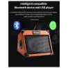 Music amplifier - outdoor speaker - for guitars / electric guitarsGuitars