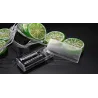 Fruchtscheiben geformte Lichterkette - batteriebetrieben / USB - Zitrone / Limette / Orange