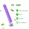 T8-Röhre - UV-Lampe - 60 LED - 10 W - Hintergrundbeleuchtung / Bühnen / Partys
