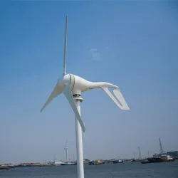 Mini wind turbine - generator - with controller - 12V / 24VWind