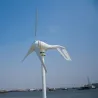 Mini wind turbine - generator - with controller - 12V / 24VWind