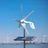 Mini Windturbine - Generator - mit Steuerung - 12V / 24V