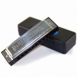 Stainless steel harmonica - 10 holes - with case - Swan Senior Bruce BluesHarmonica