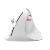 Delux M618Mini GX - 2,4 GHz - 6 Tasten - kabellose Maus - vertikal - ergonomisch - USB