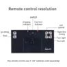 RC Rennboot - Dual Motor - 2.4G Fernbedienung