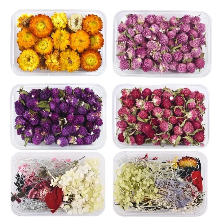Trockenblumen - Chrysantheme - Harzhandwerk / Schmuckherstellung / Kristall-Epoxidharz-Füllung