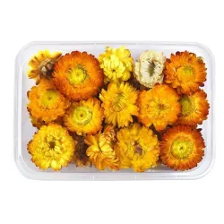 Dried flowers - chrysanthemum - resin craft / jewellery making / crystal epoxy resin fillingArtificial flowers