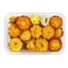 Trockenblumen - Chrysantheme - Harzhandwerk / Schmuckherstellung / Kristall-Epoxidharz-Füllung