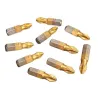 Screwdriver bits - 1/4 inch - titanium coated - anti-slip - Phillips hex shank - PH2 - 25mm - 10 piecesBits & drills