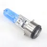 Motorcycle light bulb - BA20D - 50W - 12V - 5 piecesLights