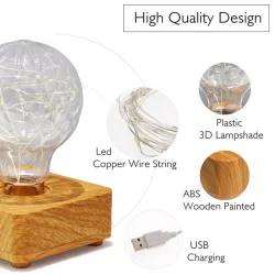 Modern LED night light - USB - copper wire string bulbLights & lighting