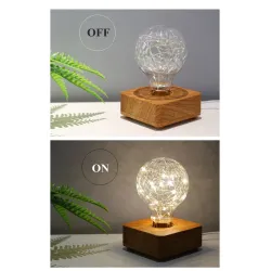 Modern LED night light - USB - copper wire string bulbLights & lighting