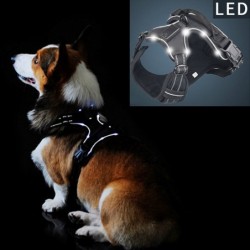 Hundegeschirr - mit LED - verstellbar - reflektierend - wasserdicht
