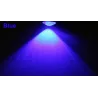 Car / motorcycle lamp - eagle eye - LED - DRL - 12V / 24V - 18mm / 23mmLights
