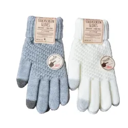Warme dicke Winterhandschuhe - Touchscreen-Funktion - Kaschmir