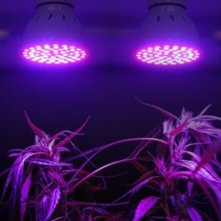LED Pflanzenlampe - Glühbirne - Hydroponik - Vollspektrum - E27 / E14 / MR16/ GU10 - 220V - 2 Stück