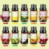 Ätherische Fruchtöle - Erdbeere / Mango / Wassermelone / Maracuja - für Diffusoren / Bäder / Kosmetik - 10 Stück