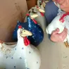 Lustiges Huhn / Henne - Garten / Rasendekoration - Harz