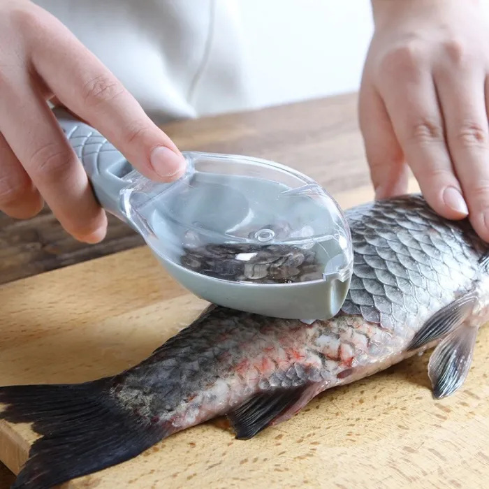 Fish cleaning - scraping scales toolCutlery