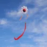 Tai Chi Gossip - traditional kite - long tailKites