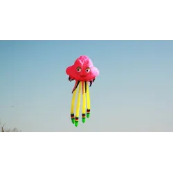 Large jellyfish - 3D octopus - kite - 5 mKites