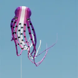 Large octopus - kite - inflatable - with line - 15m / 23m / 30mKites