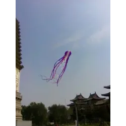 Large octopus - kite - inflatable - with line - 15m / 23m / 30mKites