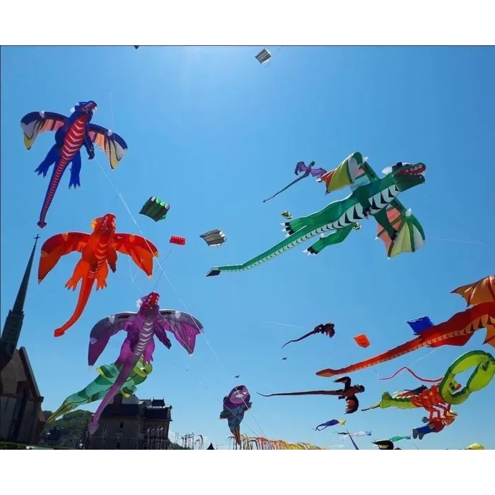 3D fliegender Drache - Drachen - 6,5m