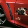 Car window sticker - vinyl - waterproof - dog with a snailStickers