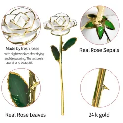 Rose in 24 Karat Gold getaucht - mit Ständer - Geburtstags- / Valentinstags- / Hochzeitsgeschenk