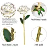 Rose in 24 Karat Gold getaucht - mit Ständer - Geburtstags- / Valentinstags- / Hochzeitsgeschenk