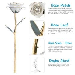 Rose in 24 Karat Gold getaucht - mit Ständer - Geburtstags- / Valentinstags- / Hochzeitsgeschenk